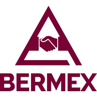 Bermex logo