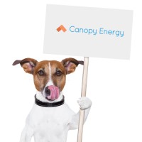 Canopy Energy of California logo
