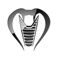 Cobra Transmission Parts logo