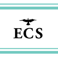 Ellis Crow Solutions logo