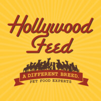 Hollywood Feed logo