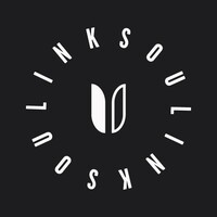 LINKSOUL logo