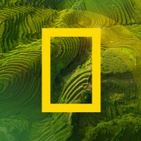 National Geographic logo