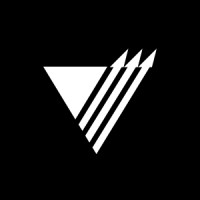 Vector Marketing Company logo